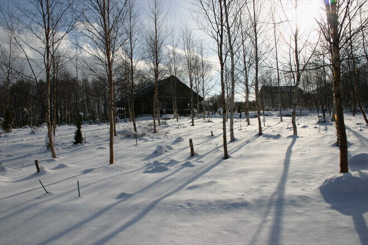 d0143719_15262777.jpg