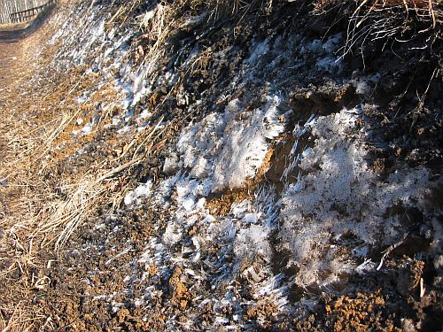 スバルから1300cc復活。軽快な仲間を御嶽山麓でフルテスト_f0076731_2304624.jpg