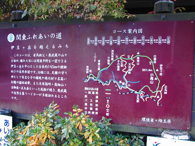 b0097836_20392928.jpg