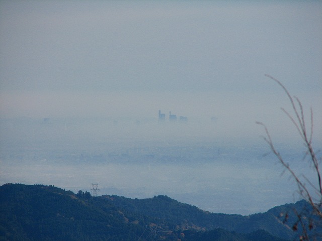 b0097836_20453843.jpg