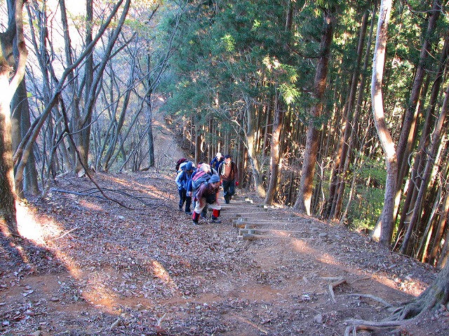 b0097836_20485572.jpg