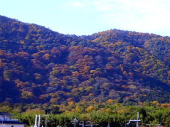 c0080038_2265229.gif