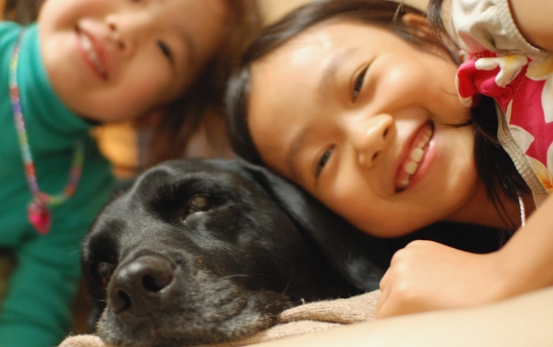 犬と子供と写真_f0068145_21595871.jpg