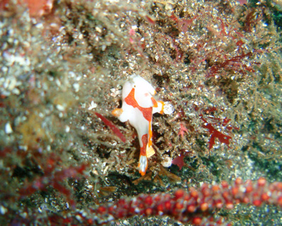d0058549_14334852.jpg