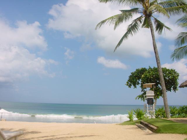 c0000461_23462564.jpg