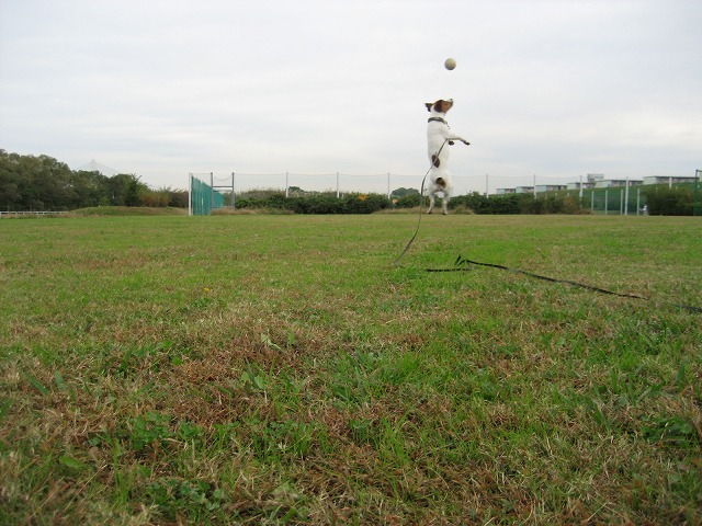 e0106372_2011497.jpg