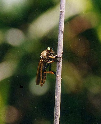 d0019074_16101789.jpg