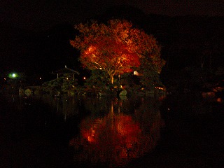 c0096685_22465412.jpg