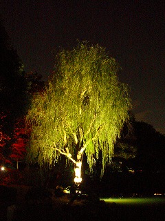 c0096685_22561990.jpg