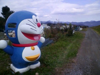 b0050787_17125.jpg