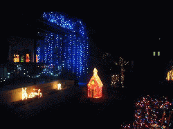 c0078592_20555670.gif