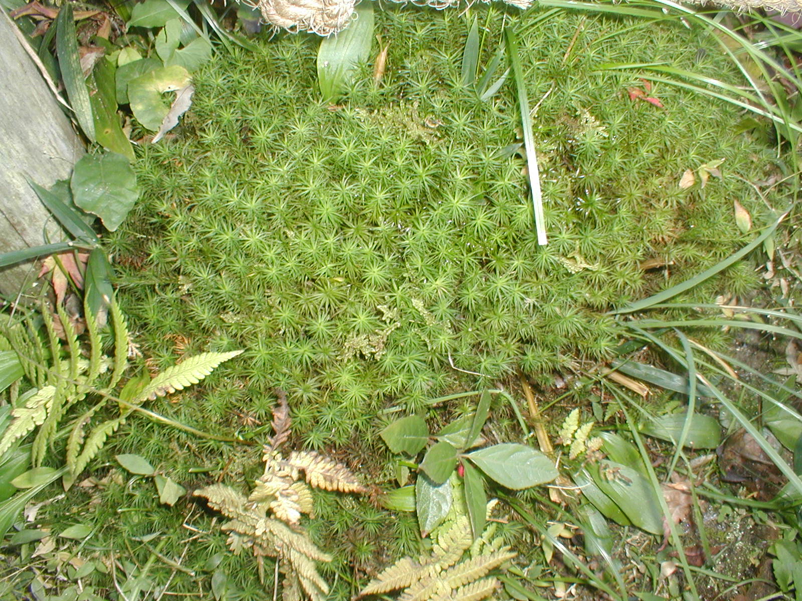 e0116694_22224459.jpg