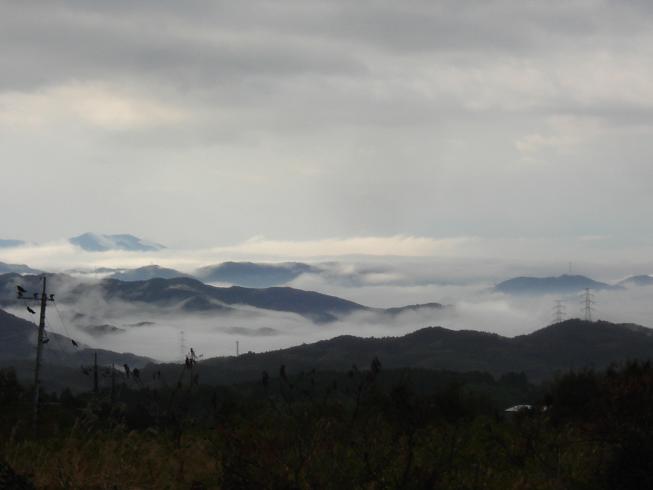 f0075595_23355023.jpg