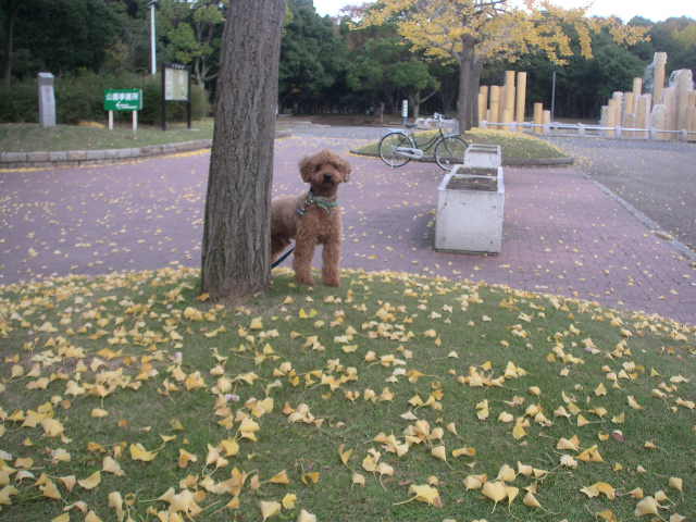 c0173896_223491.jpg