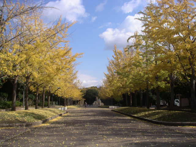 c0173896_2243941.jpg