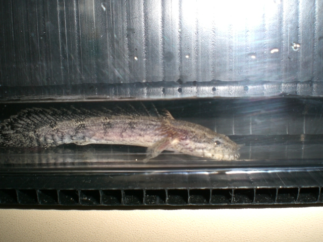 e0143096_15222515.jpg
