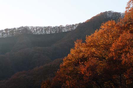 e0117202_1324871.jpg
