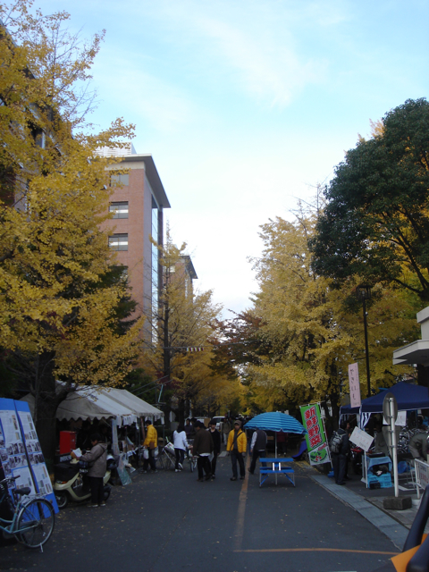 f0179202_1963180.jpg