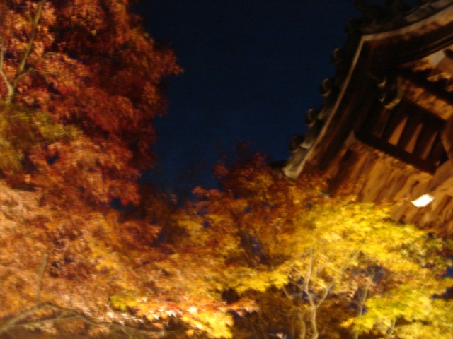 f0179202_22135755.jpg