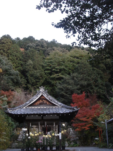 f0179202_2273250.jpg