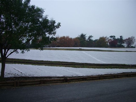 e0046305_15293992.jpg