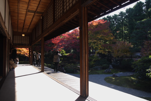 京都 泉涌寺_f0145608_2251256.jpg