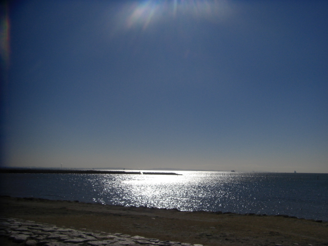 e0067218_8372524.jpg