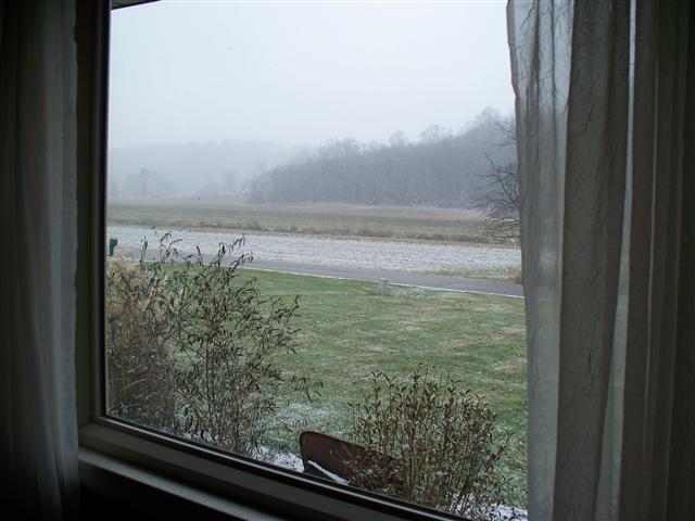 d0120021_3071.jpg