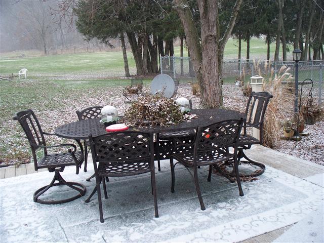 d0120021_332360.jpg