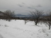 a0062324_21334773.gif