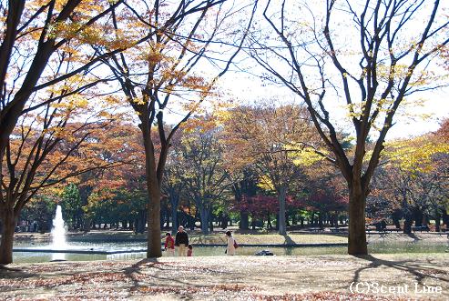 秋晴れの日_c0099133_1248191.jpg