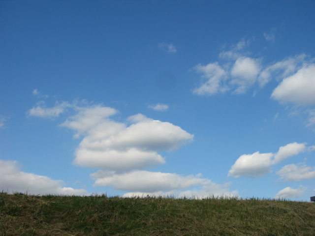 b0088037_849111.jpg