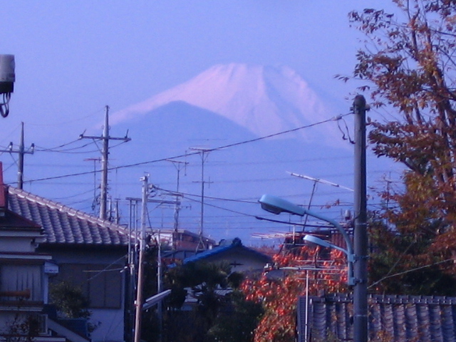 b0088037_8491836.jpg