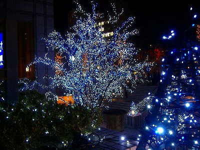 c0056437_13141028.jpg