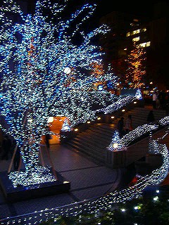 c0056437_13153860.jpg