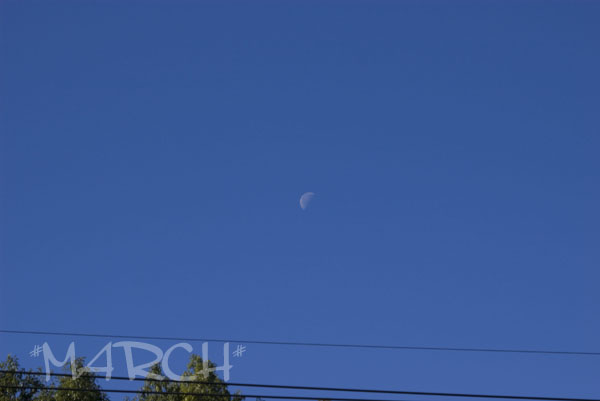 e0146037_0181344.jpg