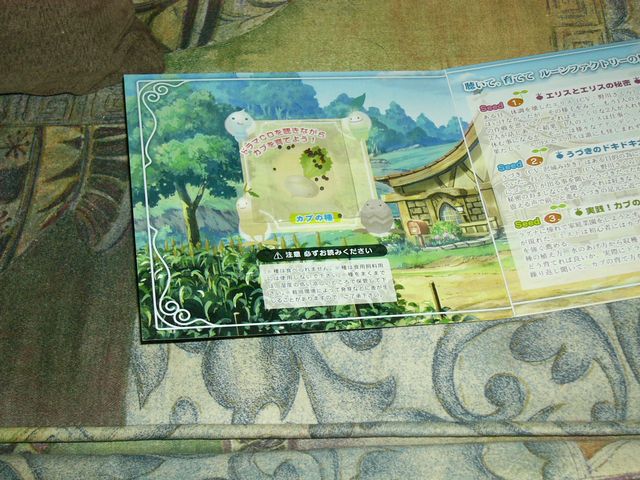 符文工廠-Rune Factory-Frontier 入手_f0107839_1756647.jpg