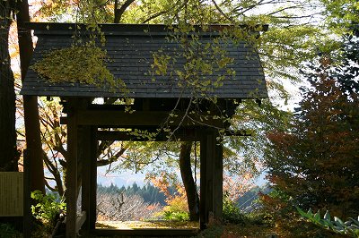 戎長寺のイチョウ　　11月22日　　積田神社　　11月25日_d0052340_20142331.jpg