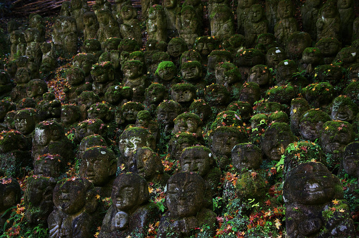 羅漢様の秋宴(愛宕念仏寺)_f0155048_22193091.jpg