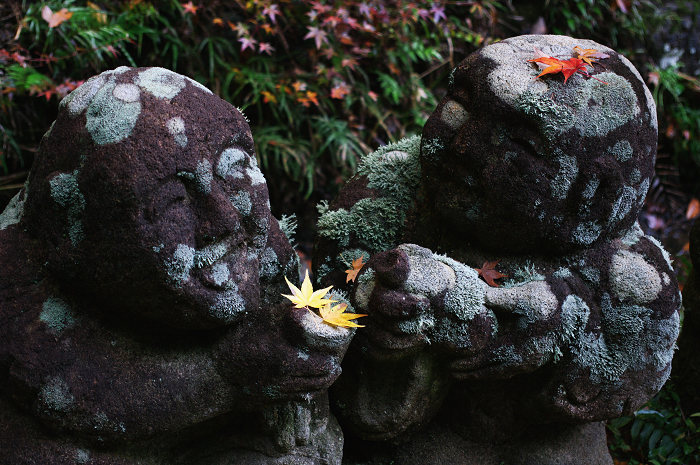 羅漢様の秋宴(愛宕念仏寺)_f0155048_2220393.jpg
