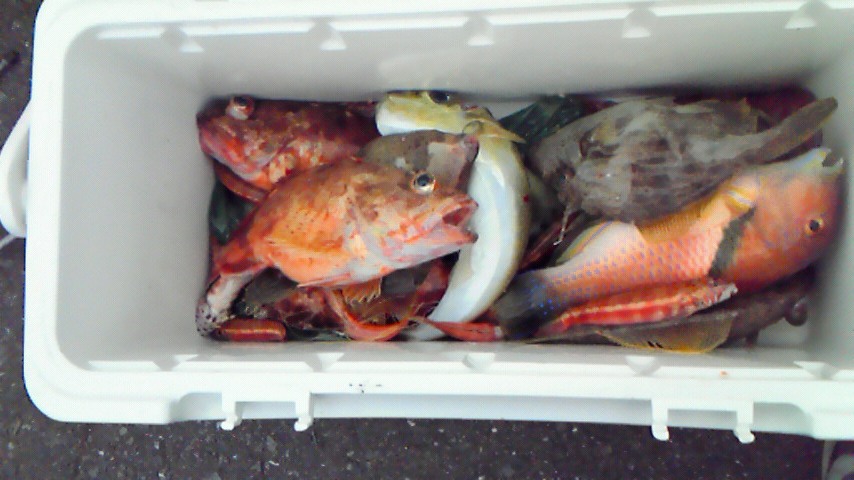 c0019951_21484151.jpg