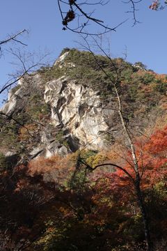 林檎とハイジと紅葉と_c0080651_2046522.jpg