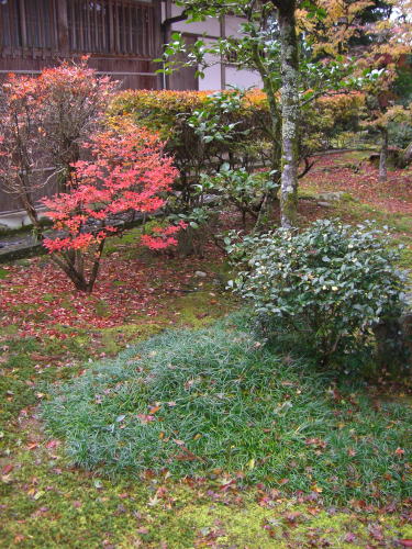 a0024652_9481397.jpg