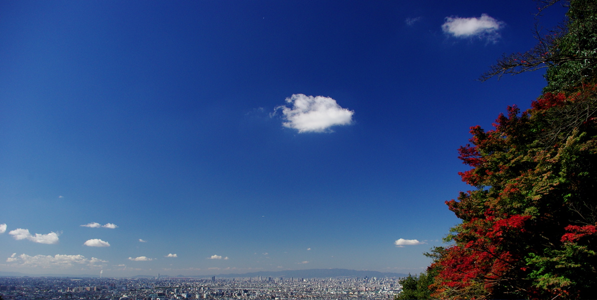 e0142357_11401.jpg