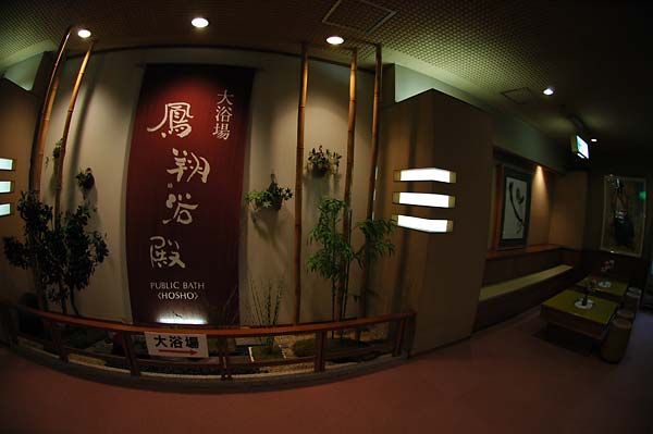東山温泉「御宿東鳳」(源泉:東山パーク源泉)_c0043361_0132378.jpg