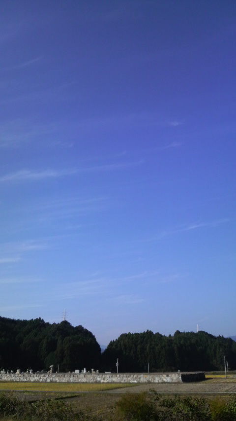 c0147261_21411643.jpg