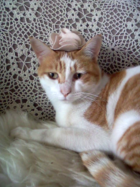 引き続きメンテナンス_e0158970_1563556.jpg