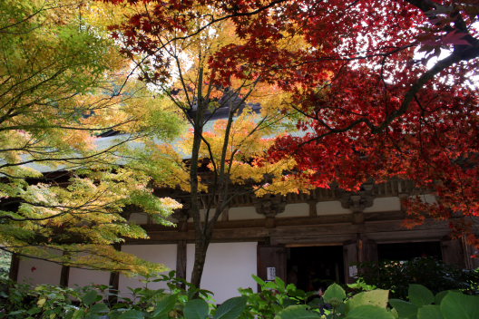 金剛輪寺～紅葉に包まれて_b0055171_13484381.jpg