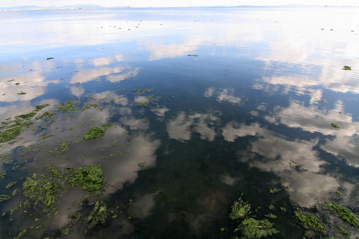 c0054876_1745367.jpg