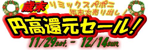 本日、歳末円高差益還元セール最終日です！_e0099576_20353353.jpg